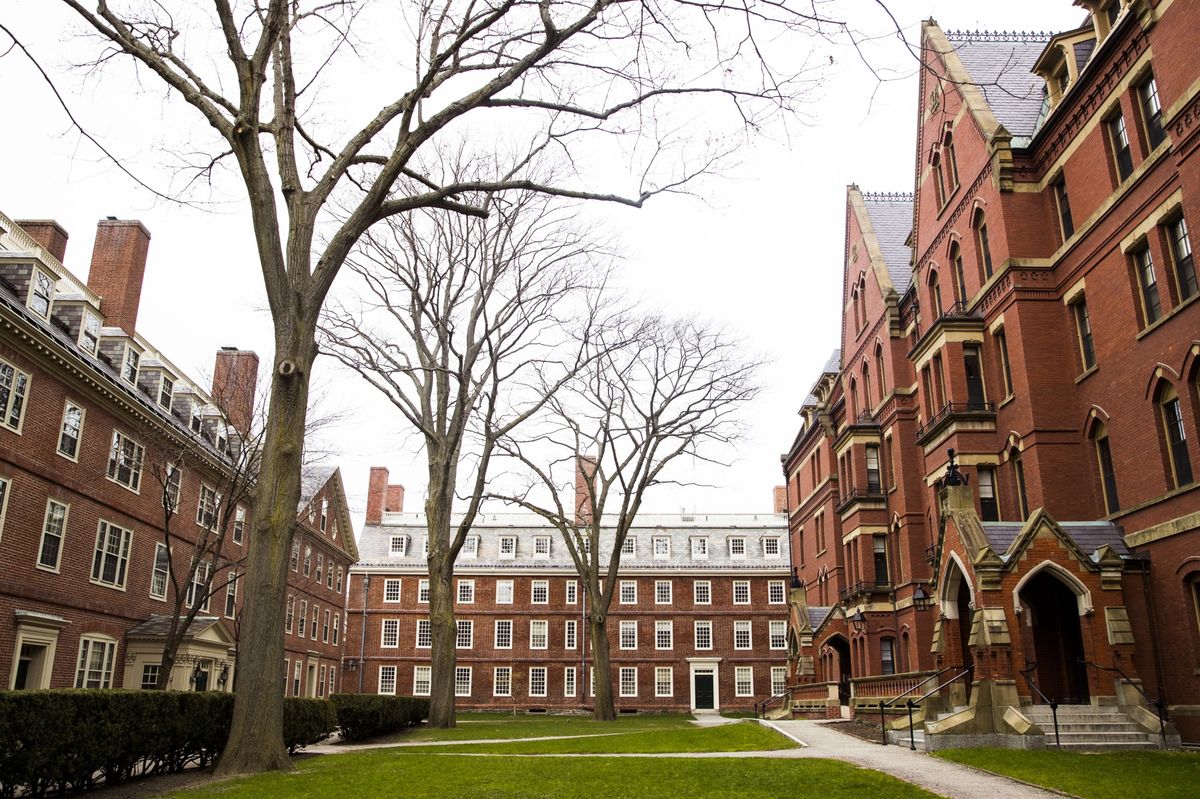 دانشگاه هاروارد - برترین دانشگاه های جهان رشته کامپیوتر